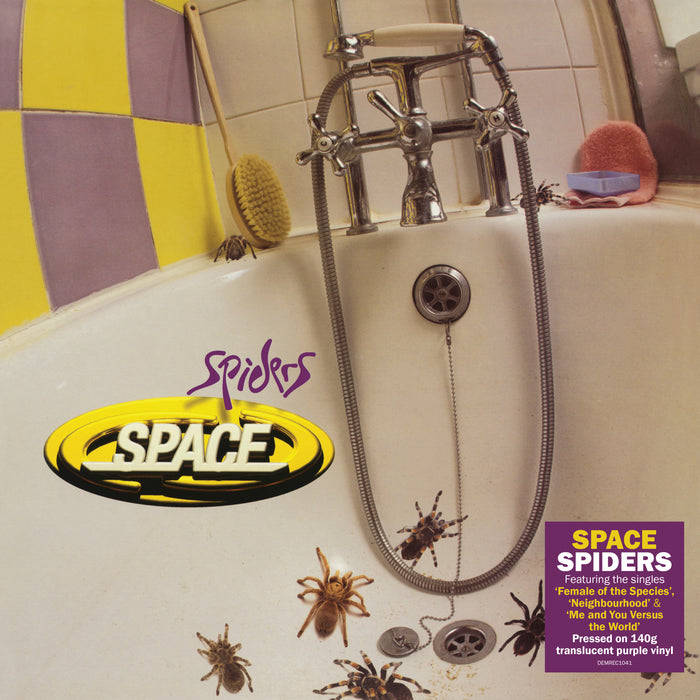 Spiders