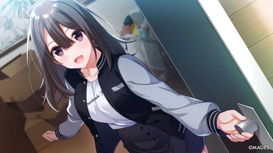 SINce Memories: Off The Starry Sky PS4