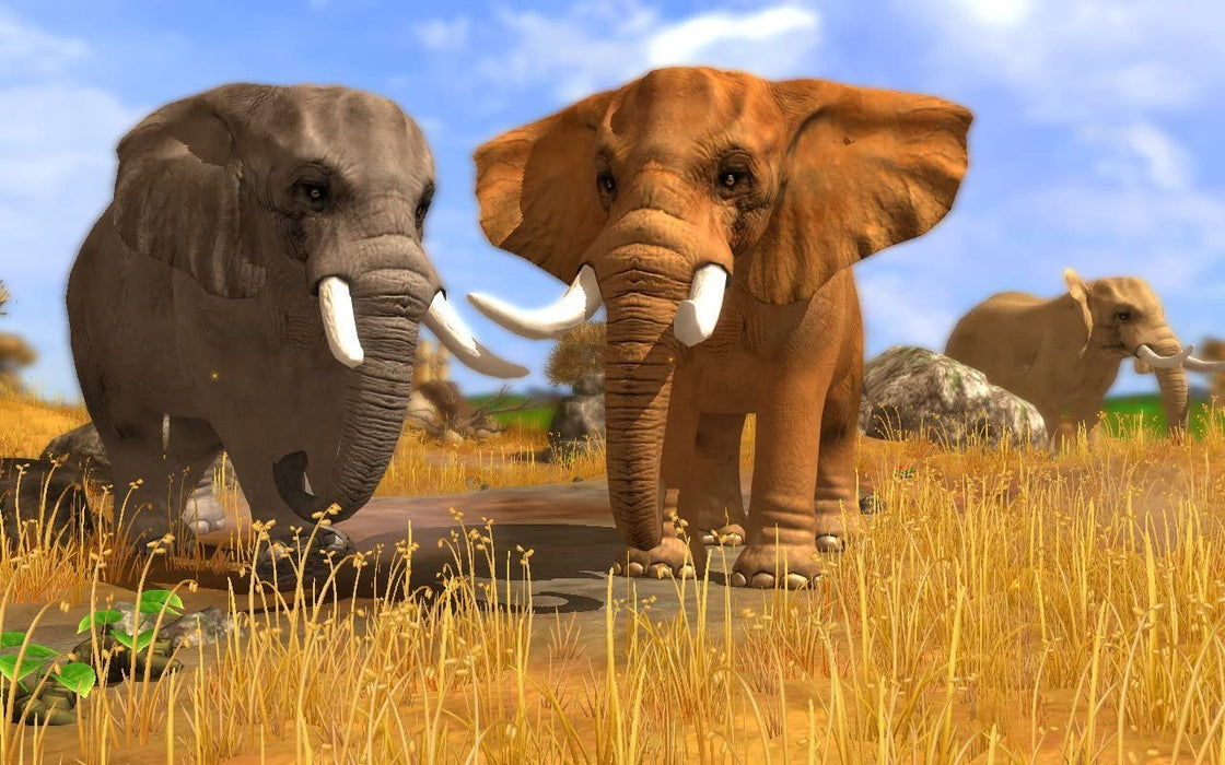 Wildlife Park 3 (PC DVD)