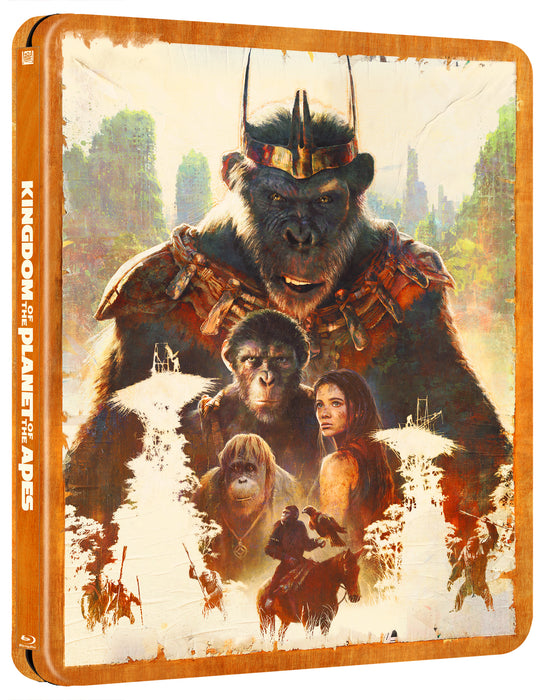 The Kingdom of The Planet Of The Apes