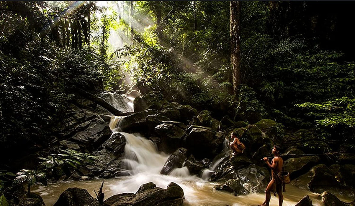 Wonders of the Monsoon (BBC)